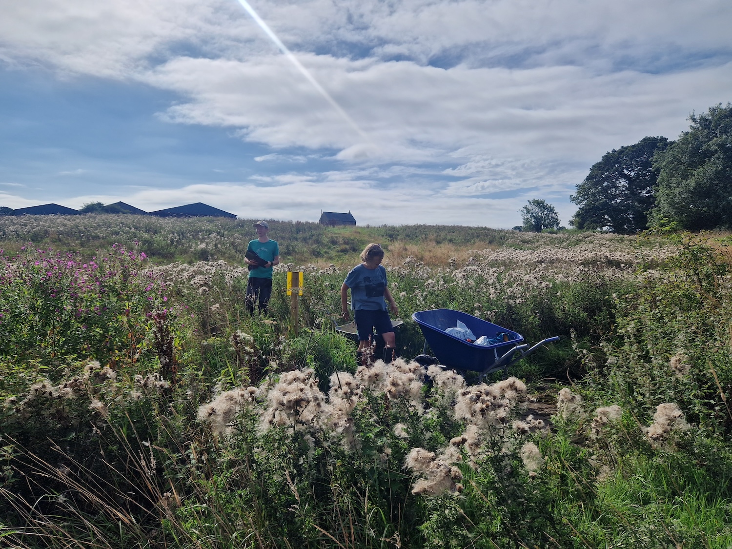 Heal rewilding staff amongst wild flowers