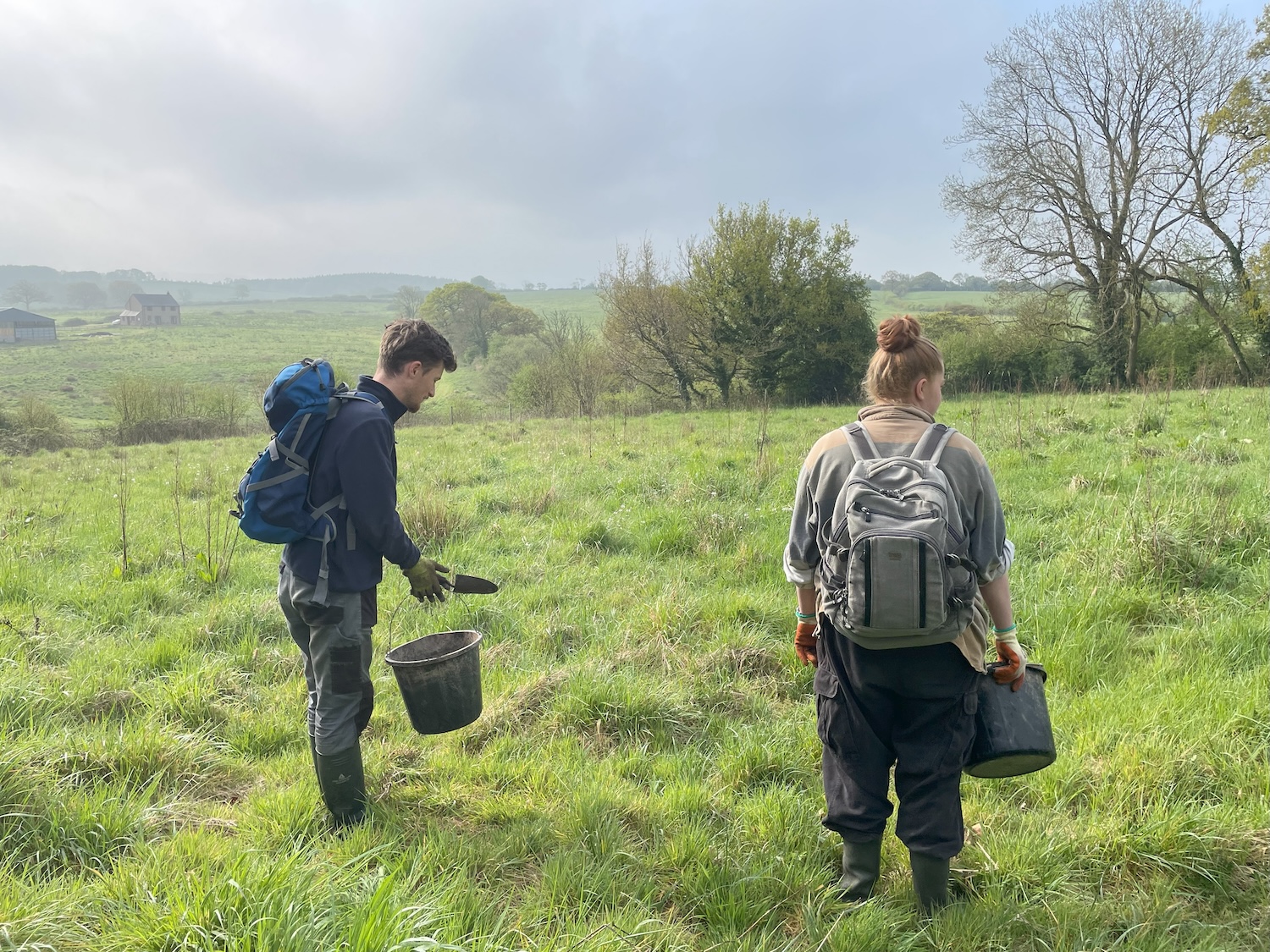 Heal rewilding staff in a meadow
